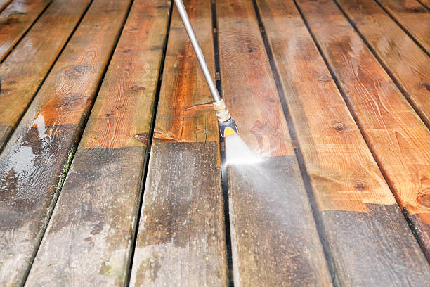 Animal Enclosure Cleaning in Lake Brownwood, TX